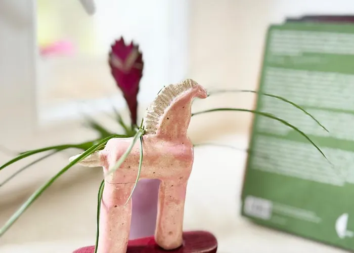 Na Poczatku Budzow (Zabkowice Slaskie)